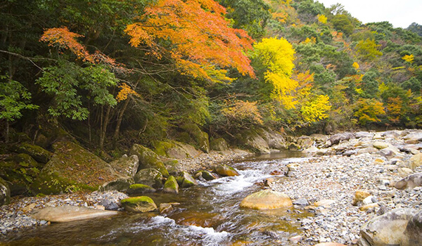 藤河内渓谷の紅葉