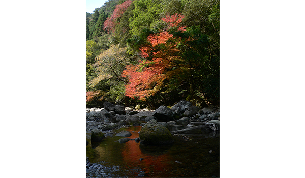 クルソン峡の紅葉