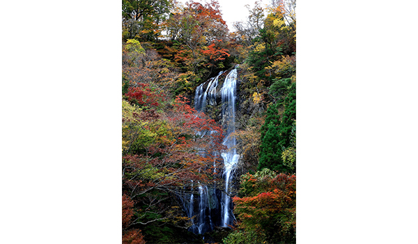 白滝の紅葉