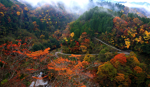 夕日の里大橋の紅葉