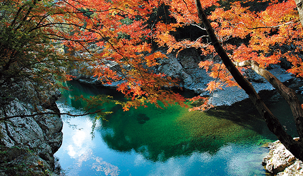 見立渓谷の紅葉