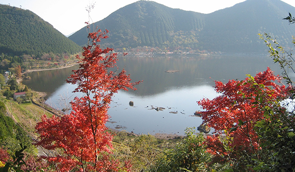 藺牟田池県立自然公園の紅葉