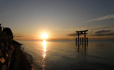 白鬚神社