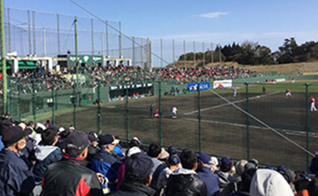 プロ野球キャンプ