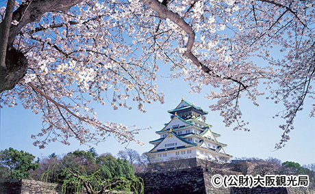 大阪城公園の桜