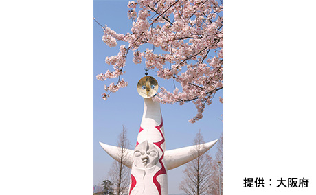万博記念公園の桜