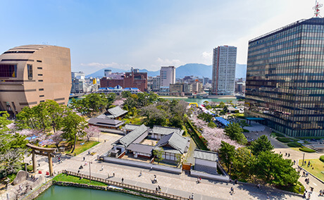勝山公園(小倉城)の桜