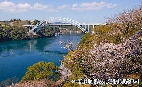 西海橋公園の桜