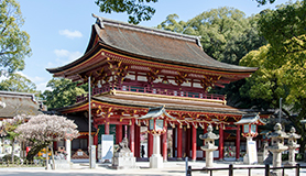 九州を楽しむ周遊旅行