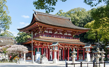 九州周遊旅行