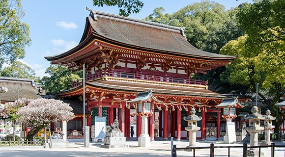 九州周遊旅行