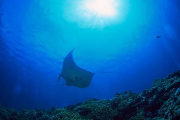 石垣島ならではのゆったり×エキサイティングな非日常感