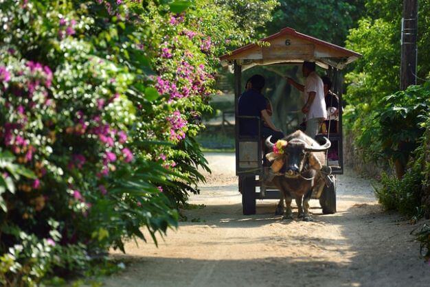 朝からアイランドホッピングで周辺離島を1日中大満喫！
