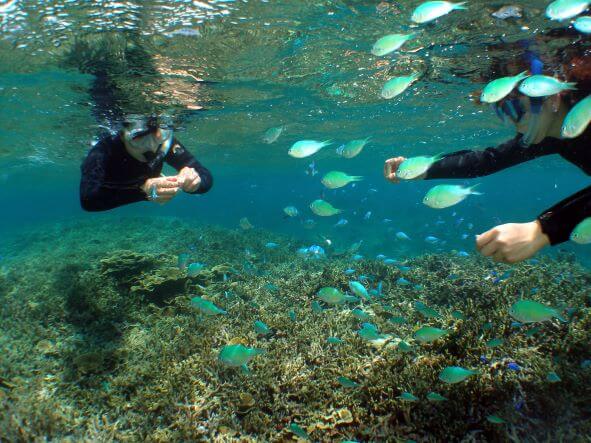 アクティビティを楽しみたいなら手ぶらで参加できるプランで！