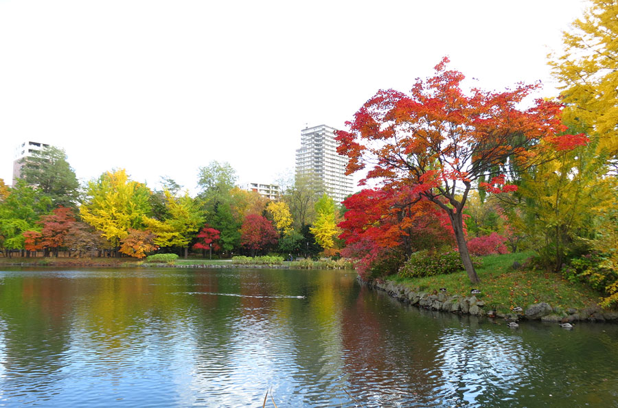 紅葉と池の水面が風情ある景観を作りだす秋の菖蒲池 秋の菖蒲池
